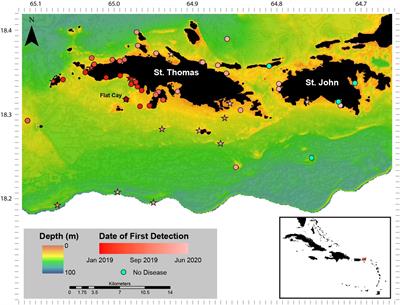 The Emergence and Initial Impact of Stony Coral Tissue Loss Disease (SCTLD) in the United States Virgin Islands